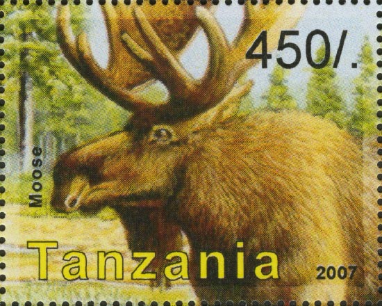 Tanzania_2007